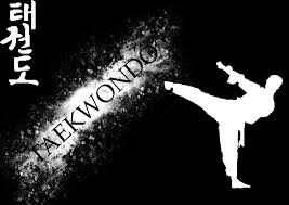 Taekwondo Wallpaper Download Taekwondo What Is Taekwondo Taekwondo Quotes