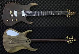 Black And White Ebony Fretboard Pin On Guitar Bass