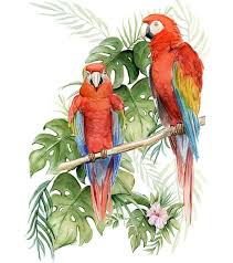 Tropical Birds And Flowers Wallpaper Mural Of Parrots Wallpaper Tropical Flowers Floral Wallpaper Parrots In Watercolor In 2020 Parrot Painting Parrot Wallpaper Tropical Painting