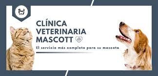Clínica Veterinaria Mascott