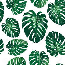 Select the pattern and in the swatches panel for the fill color, grab the rectangle tool (m) and click on the artboard. Seamless Monstera Palm Leaves Pattern For Your Summer Background Royalty Free Cliparts Vectors And Stock Illustration Image 81015610