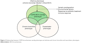 Chronic bronchitis can be categorized as simple chronic bronchitis, chronic mucopurulent bronchitis in the united states, up to two thirds of men and one fourth of women have emphysema at death. Bronchiectasis In Copd Patients More Than A Comorbidity Copd