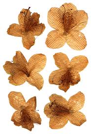 I used these pressed flowers and leaves for some product displays and they are wonderful. Make Pressed Flower Coasters And Place Mats Flower Press