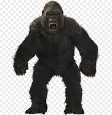 Png Livre King Kong Https Estatico Tvtropes Org Pmwiki Pub Images King Kong Height 2017 I King Kong Image King Arthur And The Invisibles