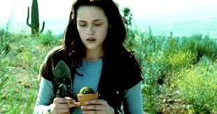 Rd.com knowledge facts consider yourself a film aficionado? Upbeat News Only A Cullen Can Answer All Of These Twilight Trivia Questions