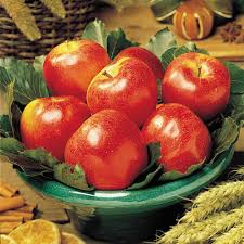 Thin fruit to maximize quality and size. Honeycrisp Apple Tree Apple And Fruit Trees From Gurneys