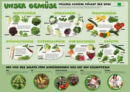 Obst Und Gemuse Saisonkalender Obst Und Gemuse Saisonkalender Obst Und Gemuse Deutsch Lernen