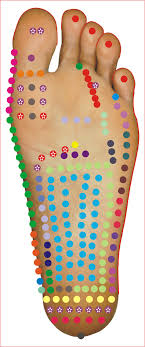 Interactive Jain Reflexology Foot Chart Jain Chumbak