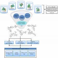 computation free full text exploring the chemical space