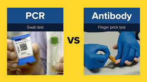 Pcr Swab Vs Antibody Test Dr Ivan Muscat Explains The Difference Youtube
