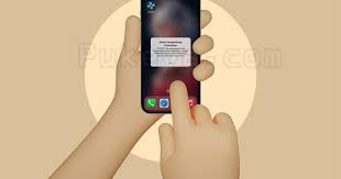 Cara Mengaktifkan Mode Developer/Pengembang di iPhone dan iPad | PUKEVA