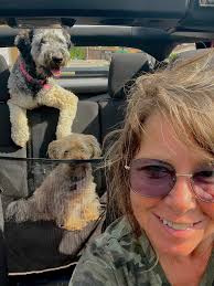 What is a good food for Bernedoodles?