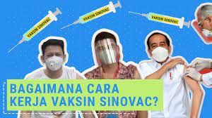 Bagaimana cara mengobati bisul tanpa mata? Bagaimana Cara Kerja Vaksin Covid 19 Sinovac Youtube