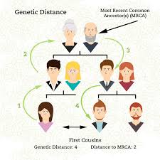 My Dna Test Is Back Now What Not Your Grandmothers