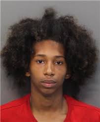 Police Charge 4 Youths In Series Of Car Break-Ins; Vehicle Speeds Away,  Then Wrecks