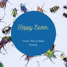 Has the best pest control services at very reasonable prices serving residential and commercial establishments in the. Rhv80hmxtyf9sm