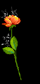 Try flowers animated gif mobile application to get beautiful live pictures of flowers to decorate your live wallpaper. Flowers Animated Images Gifs Pictures Animations 100 Free