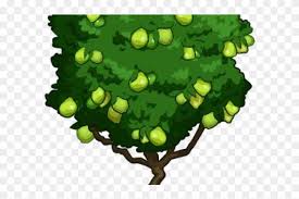 Guava Clipart Guava Plant Guava Tree Farmville Free Transparent Png Clipart Images Download 236x238 alcohol inks on yupo drawing trees, easy drawings and city girl. guava clipart guava plant guava tree