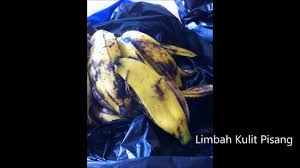Pemanfaatan Kulit Pisang Sbg Bahan Substitusi Pada Pembuatan Pasta Gigi Satuan Proses Youtube