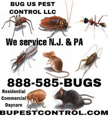 Provided customer service calling existing customers to set up routine pest control services. Bug Us Pest Control Llc Home Facebook