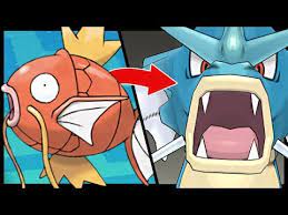 Every other pokemon discovered thus far requires a max of 20 to fully evolve. Why Does Magikarp Evolve Into Gyarados Youtube