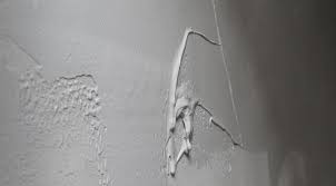 Image result for Semcoset Selecto