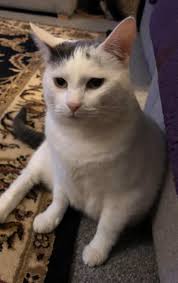 🎉 HAPPY FRIDAY EVERYONE! 😀