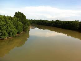 The government said that a national scheduled toxic waste management committee would be established to draft a standard opera. Sg Kim Kim Was Just The Tip Of The Dirty River Iceberg The Star