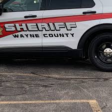 Sheriff Wayne County Woman Choked Family Member In Front Of Child Wham