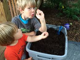 With no space for a black plastic compost bin, she opted for a worm farm instead. How To Make A Simple Worm Bin Gardens That Matter