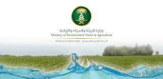حظرت وزارة البيئة والمياه والزراعة، اليوم الاثنين، بيع واستيراد شجرة الأميرة (البولونيا)؛ نظراً لضررها البالغ على الأشجار الأخرى، واستهلاكها لكميات مرتفعة من المياه. ÙˆØ²Ø§Ø±Ø© Ø§Ù„Ø¨ÙŠØ¦Ø© ÙˆØ§Ù„Ù…ÙŠØ§Ù‡ ÙˆØ§Ù„Ø²Ø±Ø§Ø¹Ø© Google Play Degi Koldonmolor