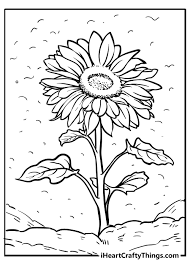 A tuscany themed digital hybrid handmade card | coloring. Sunflower Coloring Pages Updated 2021