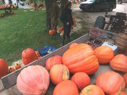 Some of the more common ones are Our Produce Magicland Farms