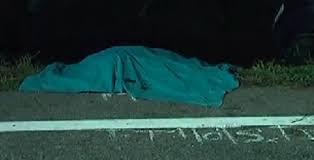 Per l'incidente nautico avvenuto nella notte due turisti tedeschi sono indagati a piede libero per omicidio colposo e omissione di soccorso. Incidente Stradale Brescia Viviana Beccalossi Attualita