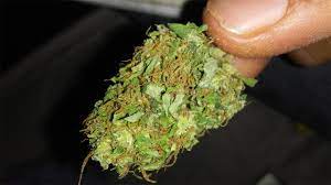 Mexican Aka Mexico Marijuana Strain Information Leafly