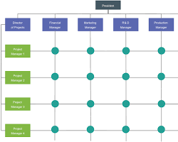 matrix organizational chart