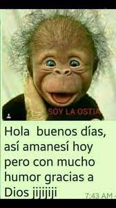 Pin En Buenos Dias Buenas Noches