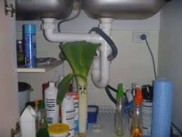Usually, your first indication that something is wrong is a giant puddle forming underneath the sink, possibly a leak from the drain line is a little tougher to diagnose since you won't be able to see where the leak. Ati Sh Ayon We Have An Aggressive Leak Under The Sink Aggressive Meme On Me Me