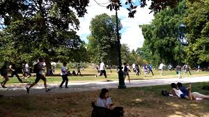 So This Happend When A Wild Leviathan Appeared During A Pokemon Meeting In Bordeaux France R Gaming