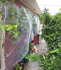 We did not find results for: Netting Fruit Trees And Berries For Pest Control Deep Green Permaculture