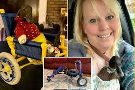 Eileen, a paralyzed duck, is going viral