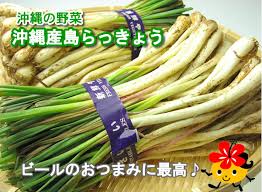 島らっきょう を沖縄からお取り寄せ 琉球本舗 沖縄土産専門店