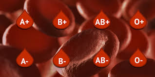 Image result for Blood Type