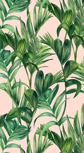 Pin di koleksi gambar terkeren. Pattern Latar Belakang Kertas Dinding Pohon Palem