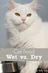 Cat Food Wet Vs Dry Cat Care Cat Food Best Cat Food