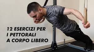 I pettorali sono senza dubbio una delle parti più importanti per l'allenamento del corpo, specialmente per quanto riguarda gli uomini, ma quali saranno gli esercizi più indicati per svilupparli a dovere? Pettorali Umberto Miletto Il Personal Trainer
