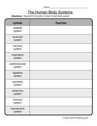 Human Body Systems Worksheet Human Body Systems Body Systems Worksheets Body Systems