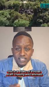 You may have seen videos