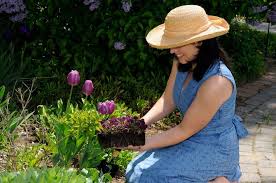 Das Nr 1 Mittel Gegen Zecken Im Garten Zeckenrollen