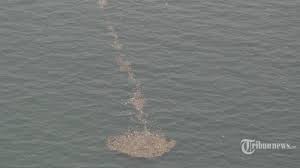 Sementara itu, eko mengaku pihaknya melihat avtur atau bahan bakar pesawat di sekitar lokasi kejadian. Xis Bpbmgbb3om